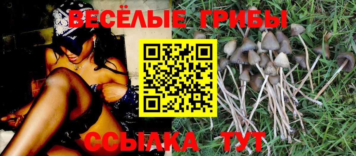 Псилоцибиновые грибы прущие грибы Можайск