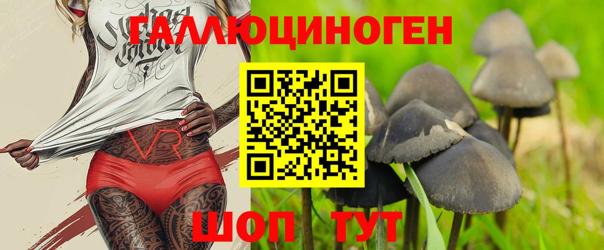 Можайск  Галлюциногенные грибы мухоморы  Вход с VPN 